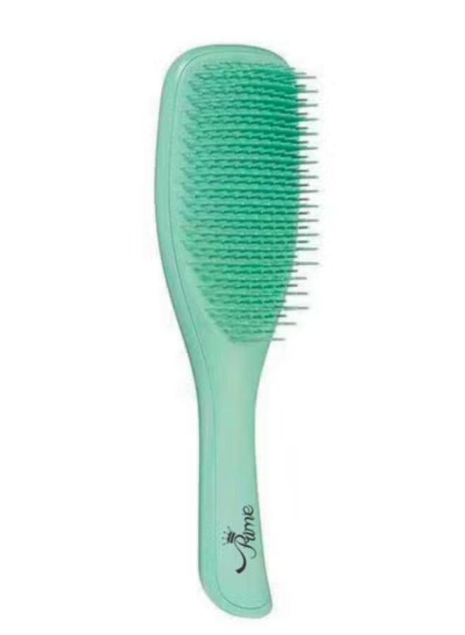 Hairbrush Wet Detangler